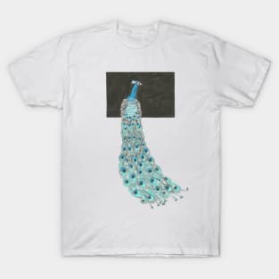 Peacock on a Window T-Shirt